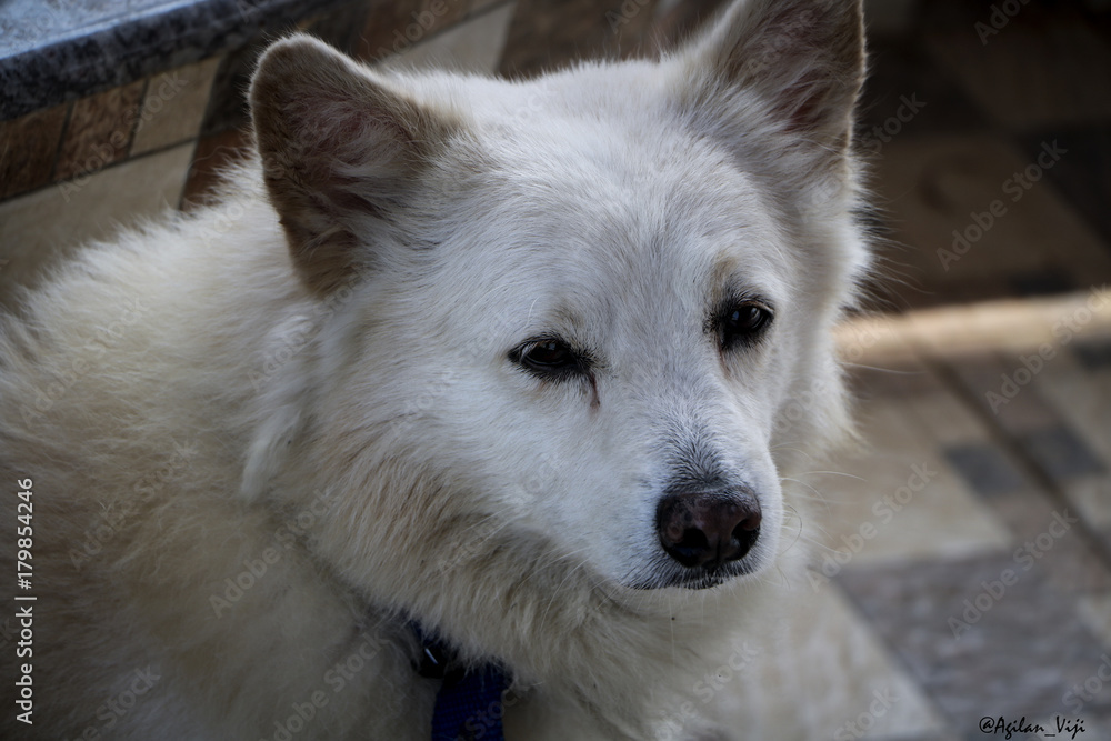 Obraz premium #Friend_#Partner