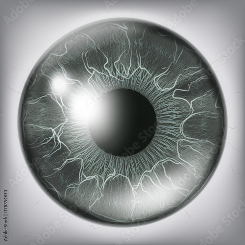 Human Eye Iris Close Up Vector. Healthy Medical Concept Illustration