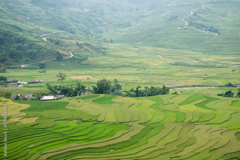 Mu Cang Chai Sapa, Vietnam