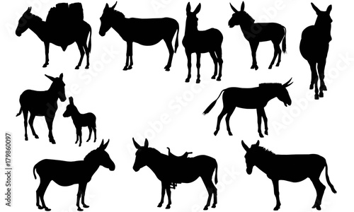 Ass Silhouette Vector Graphics 