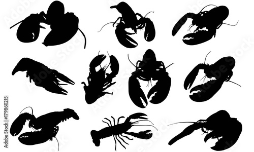 Lobster Silhouette Vector Graphics 