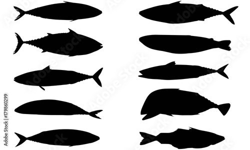 Mackerel Silhouette Vector Graphics 