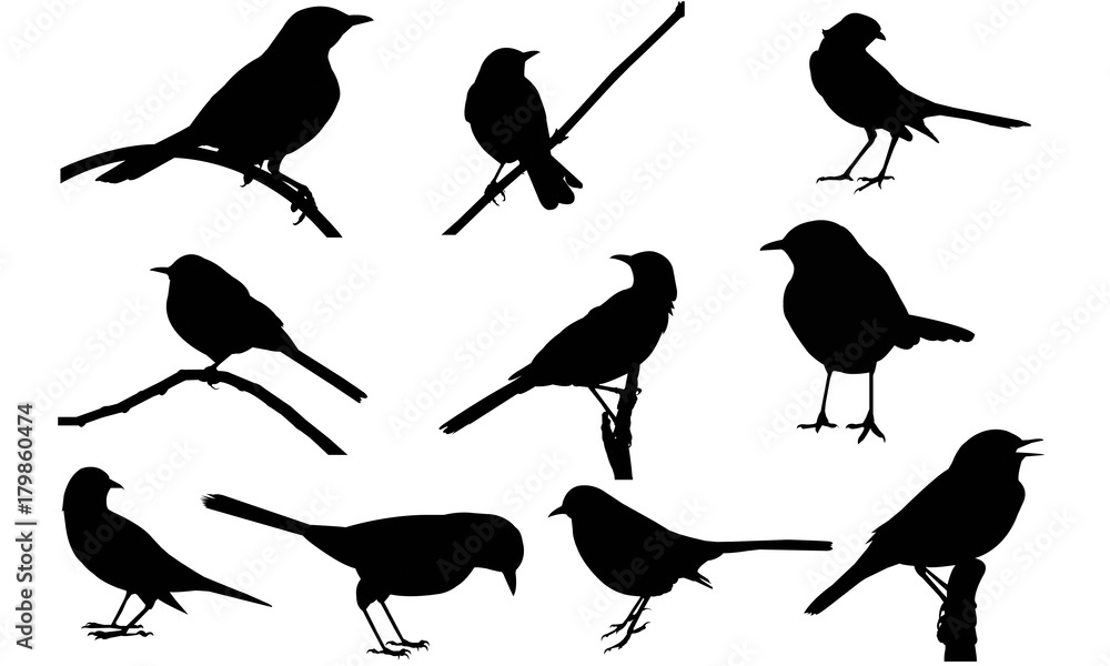 Mocking Bird Silhouette Vector Graphics Stock Vector | Adobe Stock