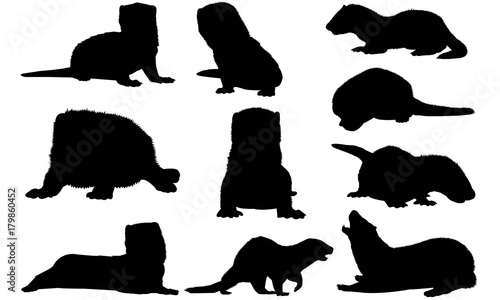 Mink Silhouette Vector Graphics 