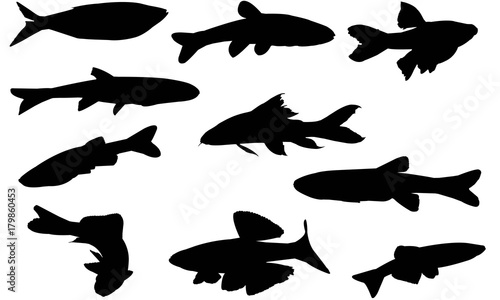 Minnow Silhouette Vector Graphics 