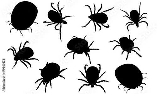 Mite Silhouette Vector Graphics 