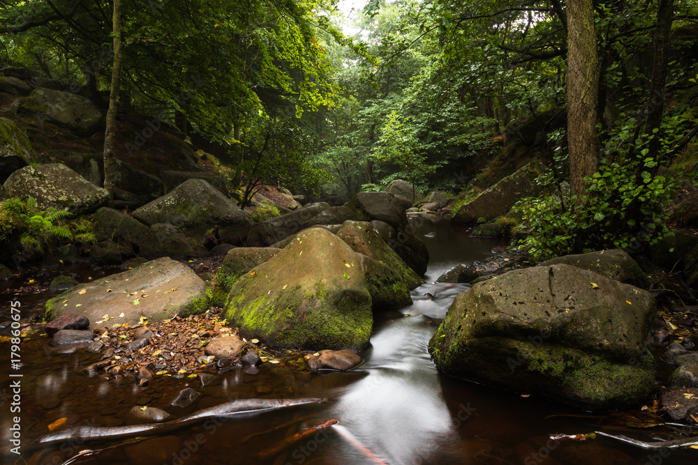 Wild Gorge