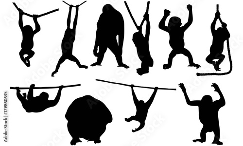 Orangutan Silhouette Vector Graphics 