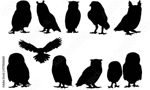 Owl Silhouette Vector Graphics 