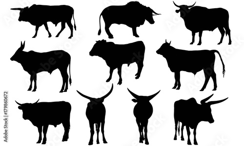 Ox Silhouette Vector Graphics 