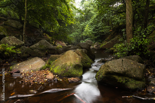 Wild Gorge