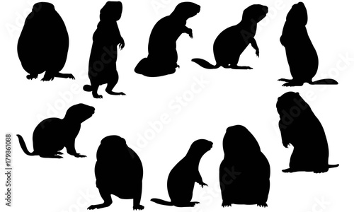 Prairie dog Silhouette Vector Graphics 