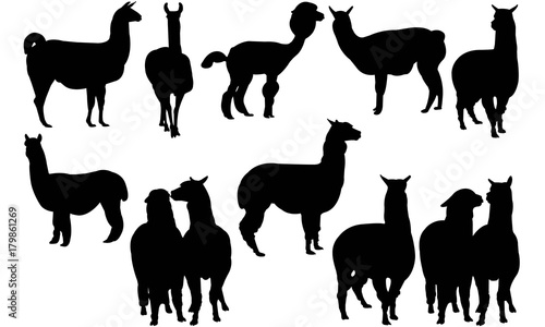 Alpaca Silhouette Vector Graphics 