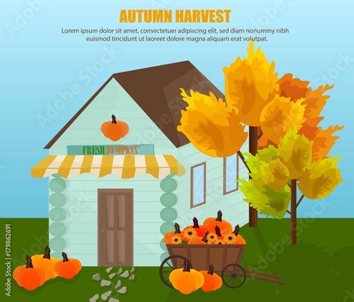 Farm house with fresh pumpkin Vector. Autumn background. flat styles