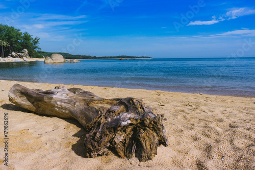 Beach and Dry tree with blue sky. © Korradol