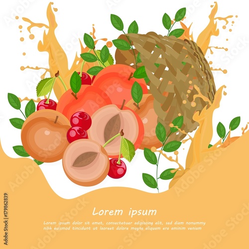 Peach and cherries in a basket. Vector flat style