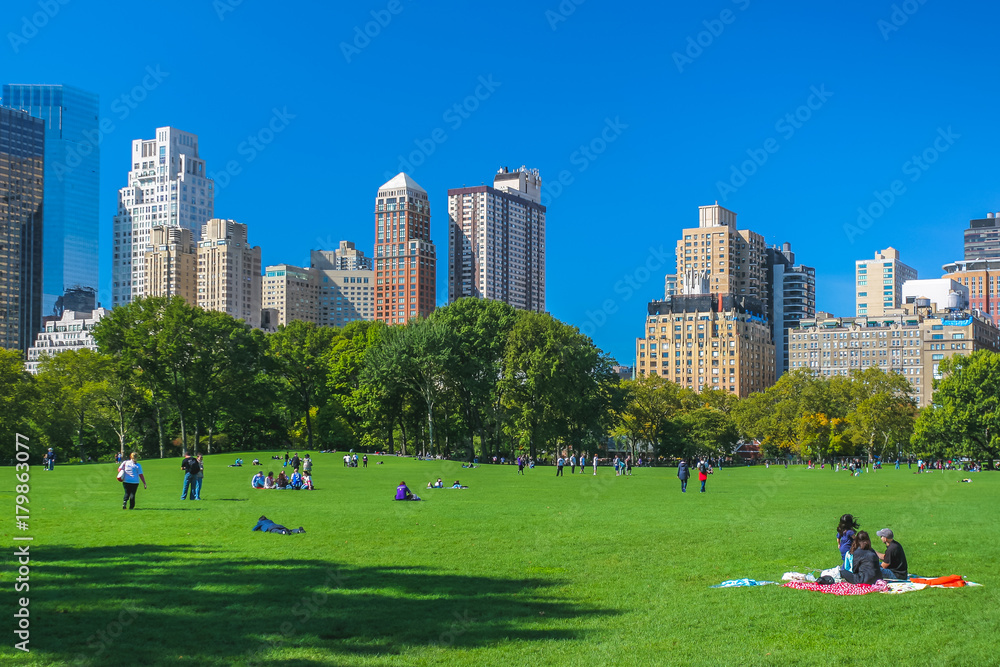 Fototapeta premium Central Park, New York