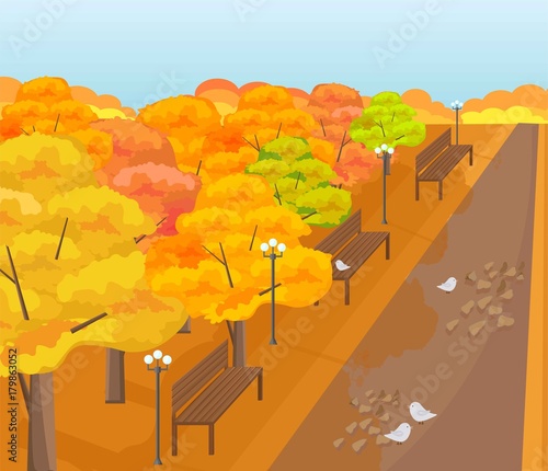 Park outdoors Autumn season. Vector