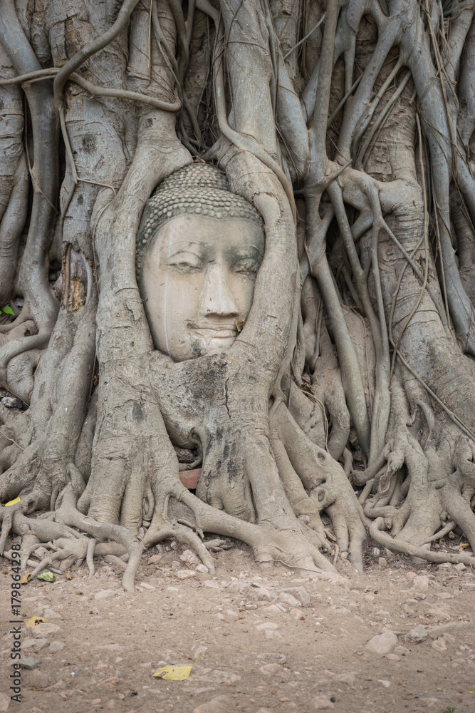 Buddha Head in Ayutthaya, Thailand.