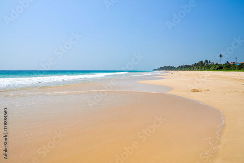 nice landscape with the ocean and palm trees