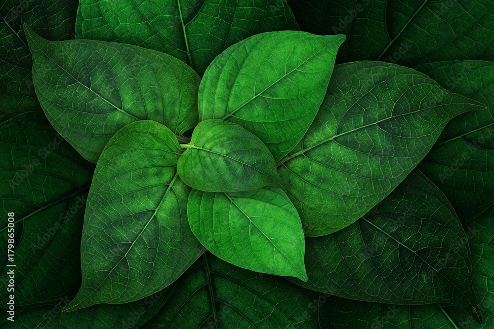 natural concept design ; samless pattern of litle plant on the ground natural concept design ; samless pattern of litle plant on the ground