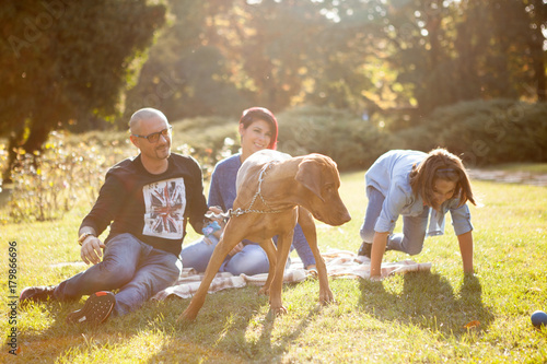 Three people playing in the park with their dog. Animal lovers. Mother, father, daughter and their dog