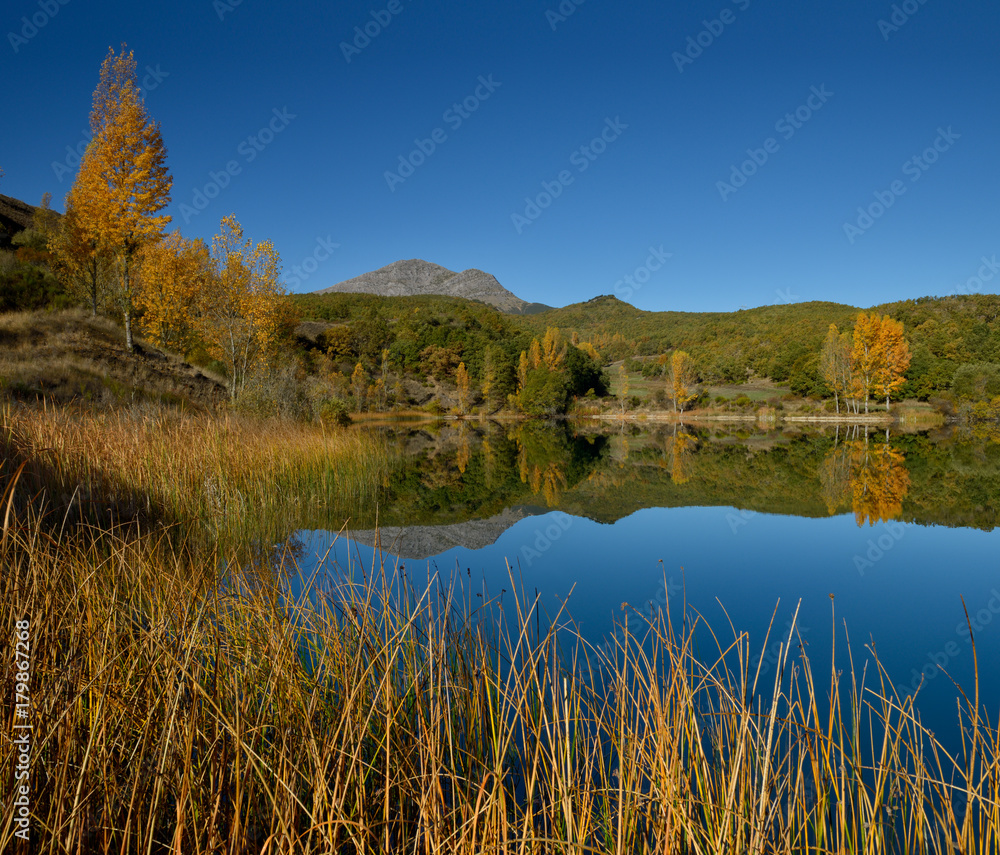 Reflejo de bosque otoño en lago