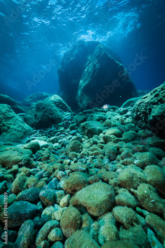 rocky sea bottom © Pinosub