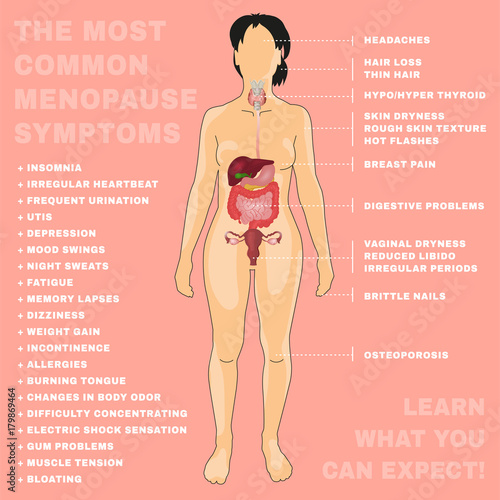 Vector Menopause Image