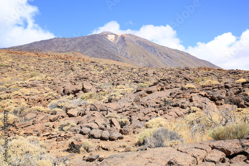 El Teide National Park on Tenerife Island, Canary Islands, Spain