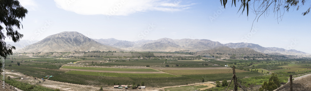 Panoramic Field -Azpitia