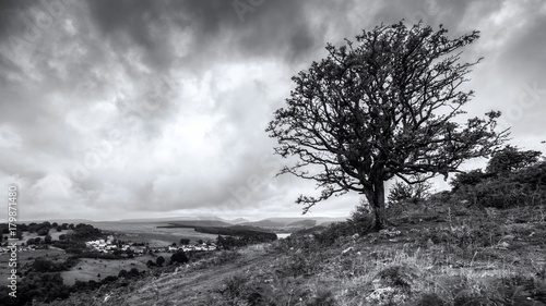 National Park in Wales in Summer in the Hills of the Countryside