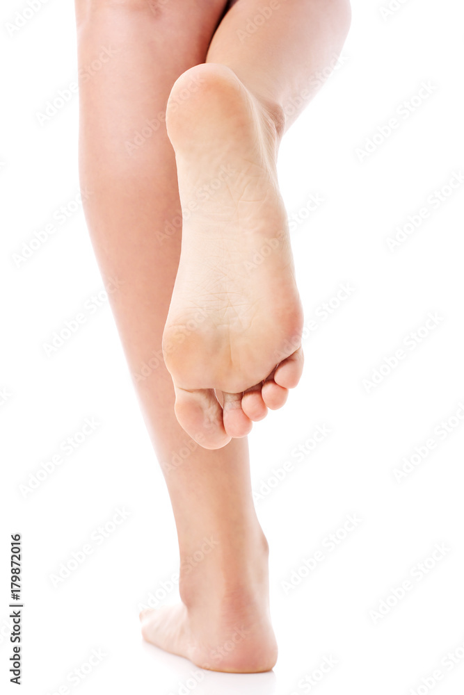Women's feet on white background. Women's feet on white background.