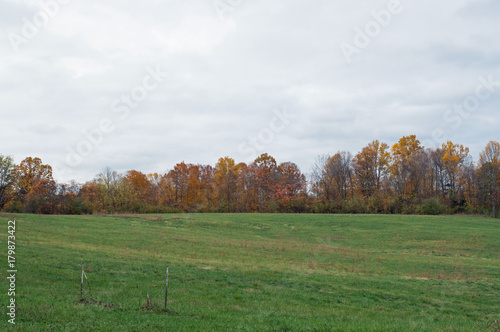 Rural landscape photo of a green, grassy meadow lined with trees bearing bright Autumn colors