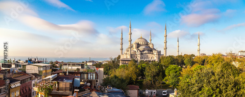 Blue mosque in Istanbul © Sergii Figurnyi