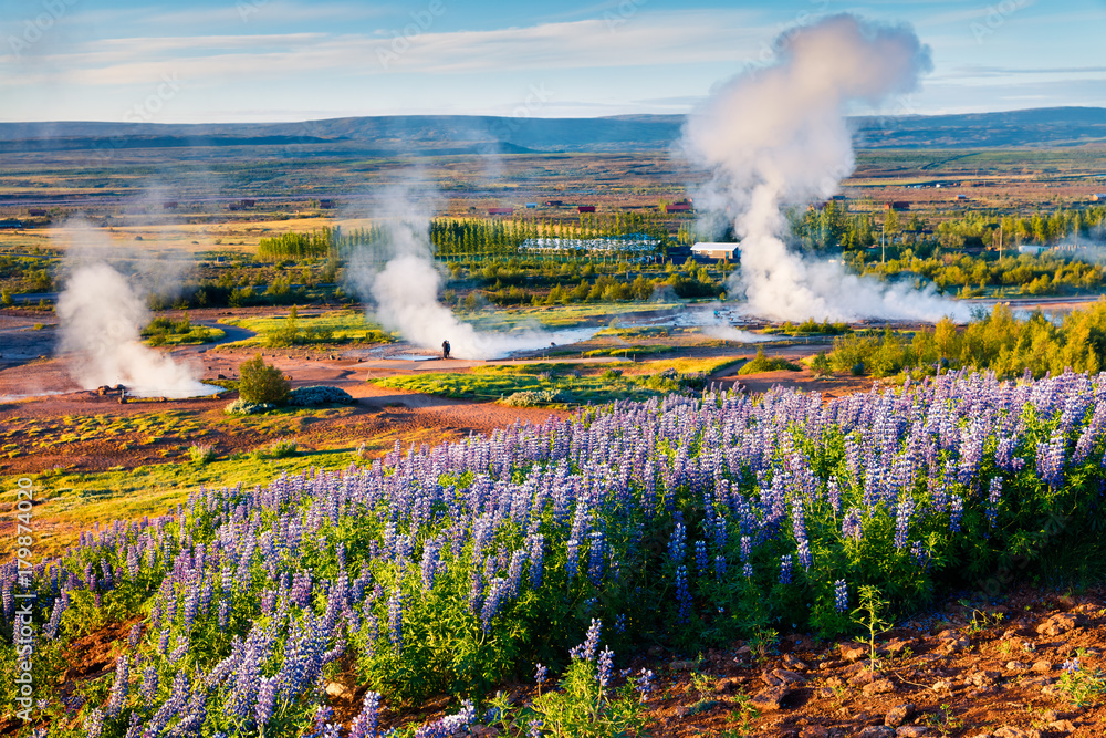 Fototapeta premium Erupting of the Great Geysir lies in Haukadalur valley on the slopes of Laugarfjall hill.