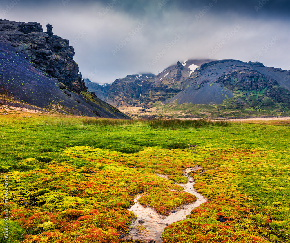 Typical Icelandic landscape with majestic canyon and pure water spring
