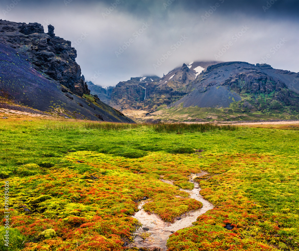 Fototapeta premium Typical Icelandic landscape with majestic canyon and pure water spring