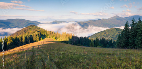 Bright summer morning in the Carpathian mountains.