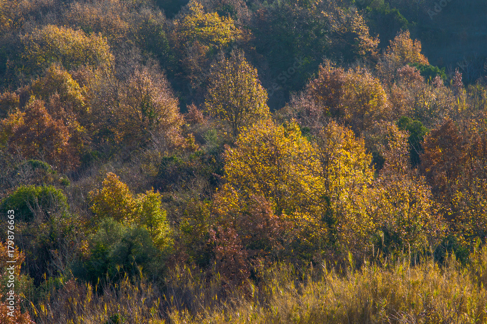 Autumn hills