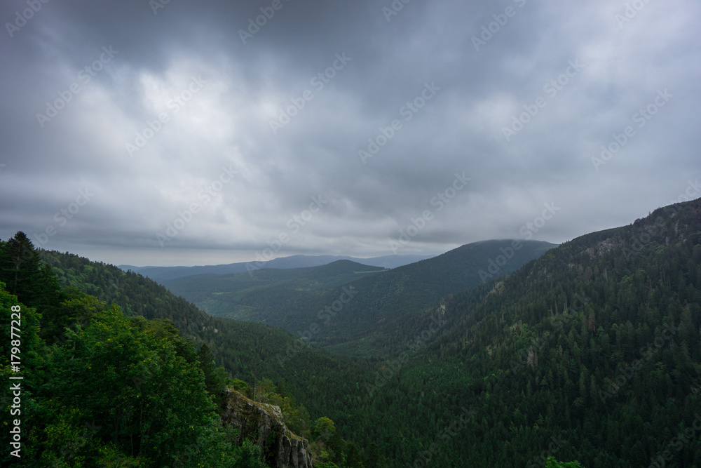 France - Endless green canyon covered by trees in alsace near route de cretes France - Endless green canyon covered by trees in alsace near route de cretes