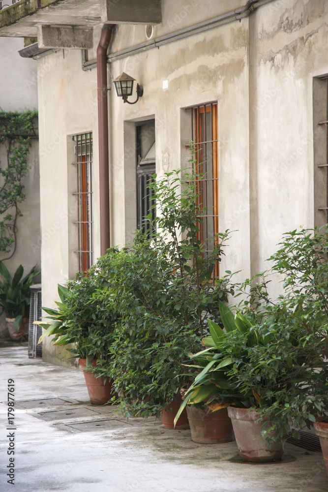 The courtyard and the facade of the apartment house near which stand large pots with ornamental plants The courtyard and the facade of the apartment house near which stand large pots with ornamental plants