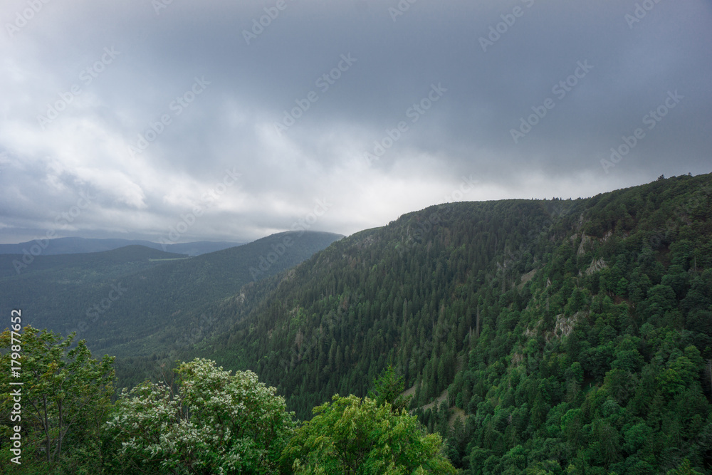 France - Aerial view on wooded canyon next to route de cretes in autumn