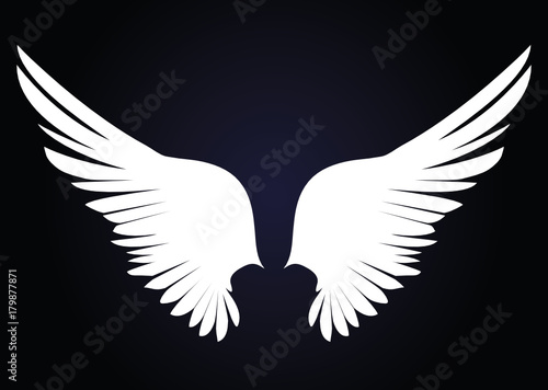 White Wings. Vector illustration on dark background. Black and white style  © gala2205