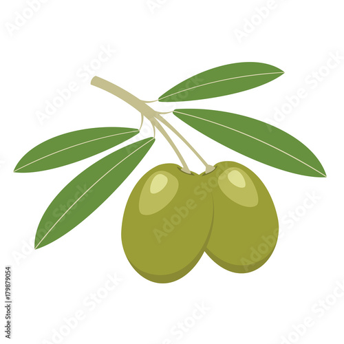 Olives. Green olives with green leaves. Vector illustration.