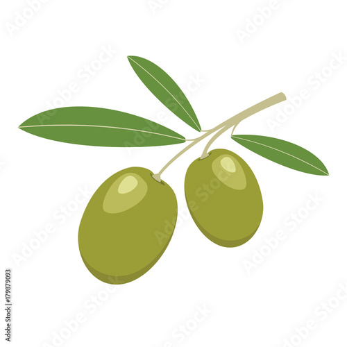 Olives. Green olives with green leaves. Vector illustration.