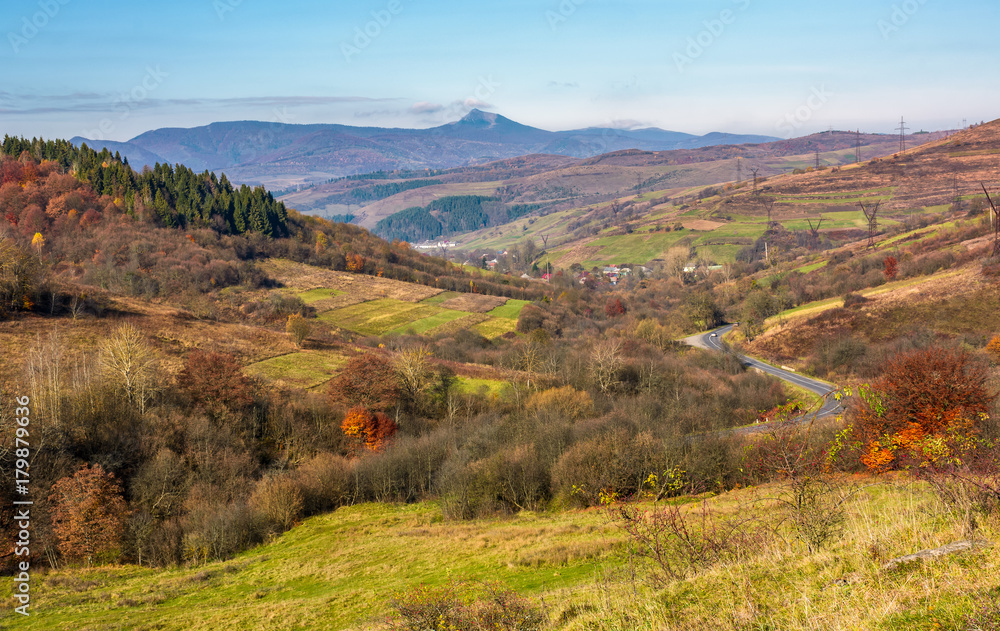 mountainous rural area in late autumn. trees with reddish foliage on green grassy hills. mountain ridge with high peak in the distance mountainous rural area in late autumn. trees with reddish foliage on green grassy hills. mountain ridge with high peak in the distance