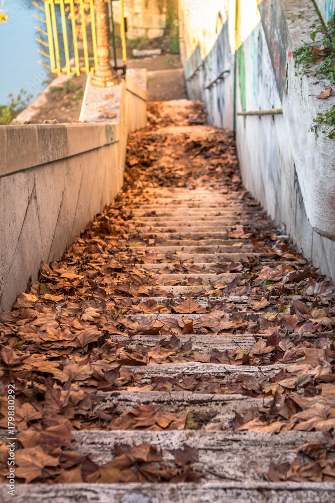 Staircase to river Staircase to river
