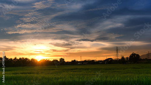City landscape view sunset over rice field plantation farming with house and telecom,communication antennas in countryside Thailand