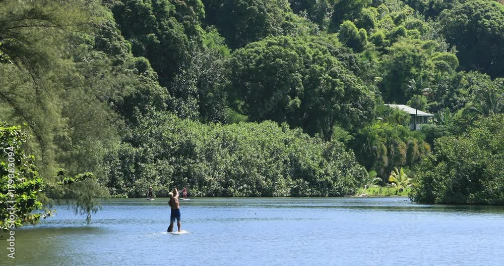 Man couple stand up paddle boards river Kauai Hawaii. Stand up paddle surfing and stand up paddle boarding is a offshoot of surfing that originated in Hawaii. Outdoor sporting activity. Man couple stand up paddle boards river Kauai Hawaii. Stand up paddle surfing and stand up paddle boarding is a offshoot of surfing that originated in Hawaii. Outdoor sporting activity.